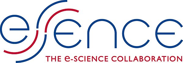 Essence